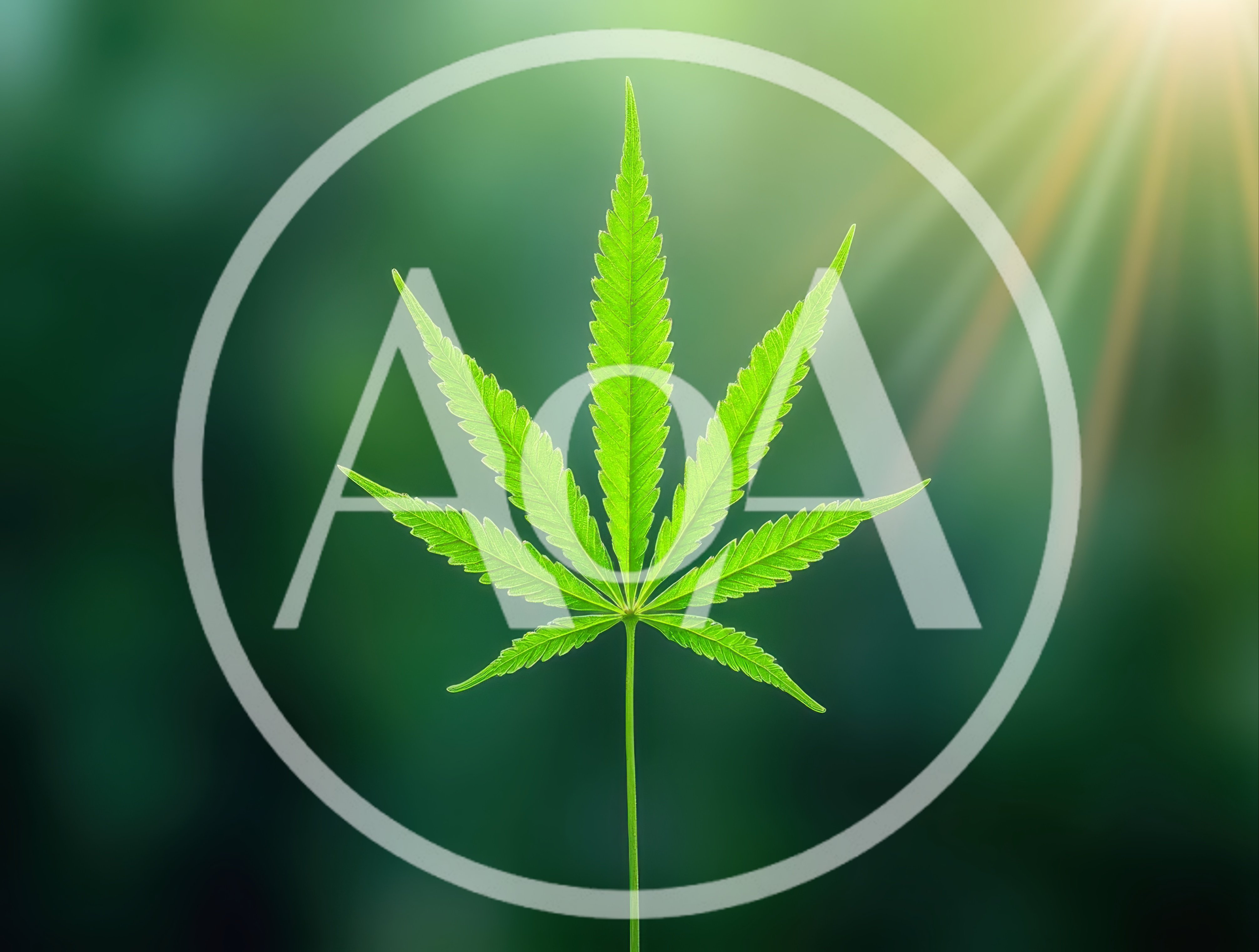 Single Green Cannabis Leaf Against Blurred Nature Background