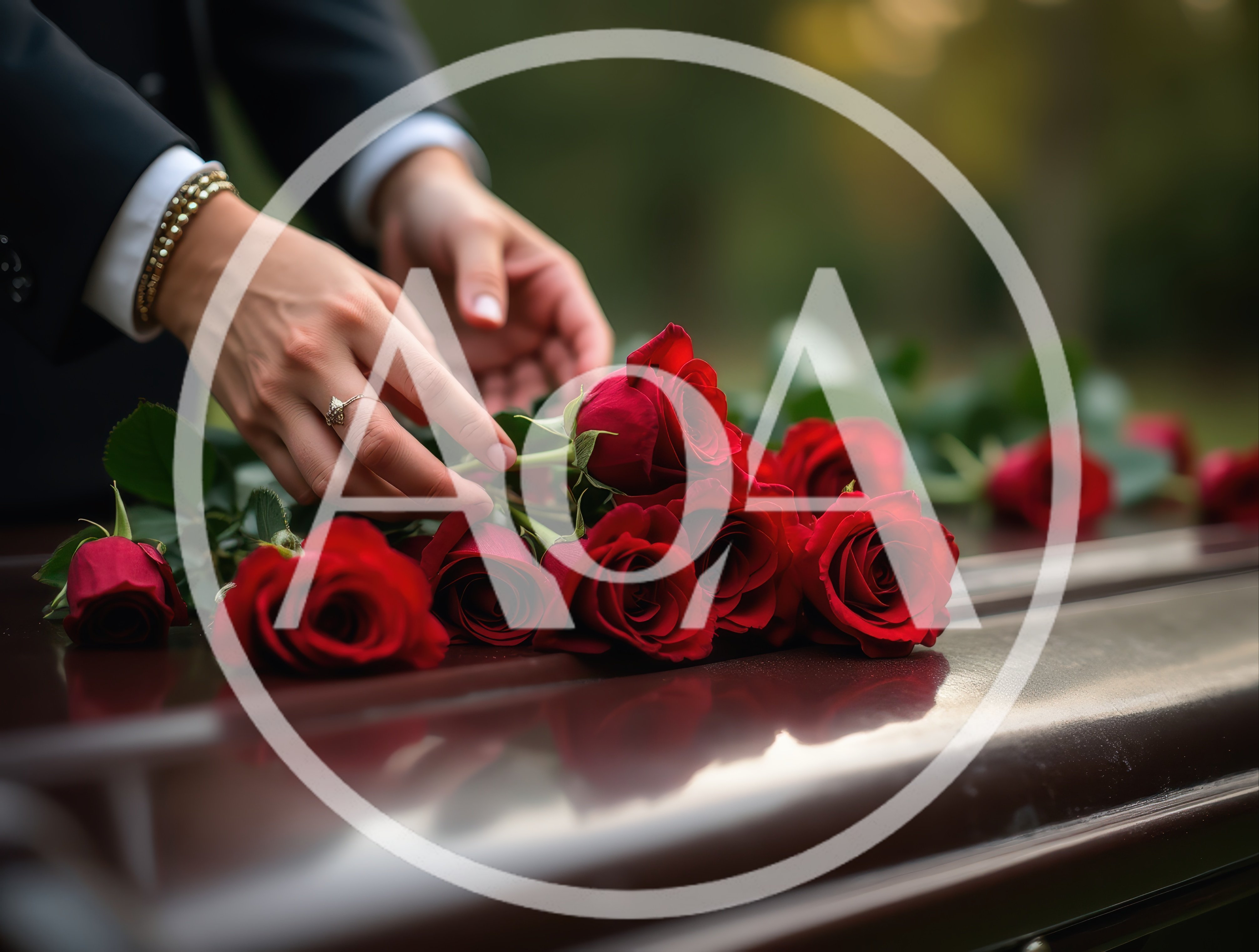 Person Placing Red Roses On A Casket