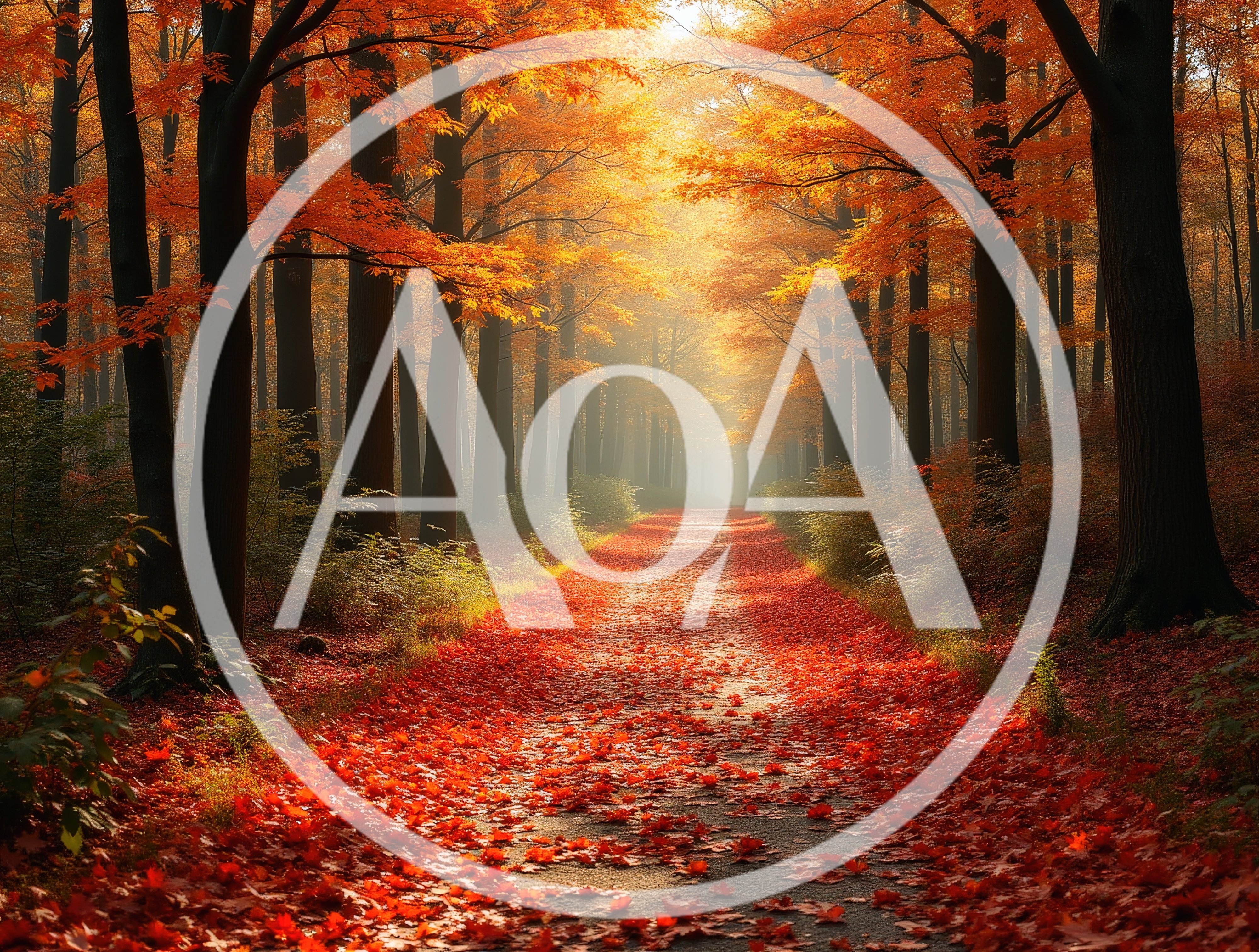 Autumn Forest Path Covered In Vibrant Red Leaves
