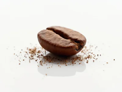 Single Roasted Coffee Bean With Ground Coffee Particles