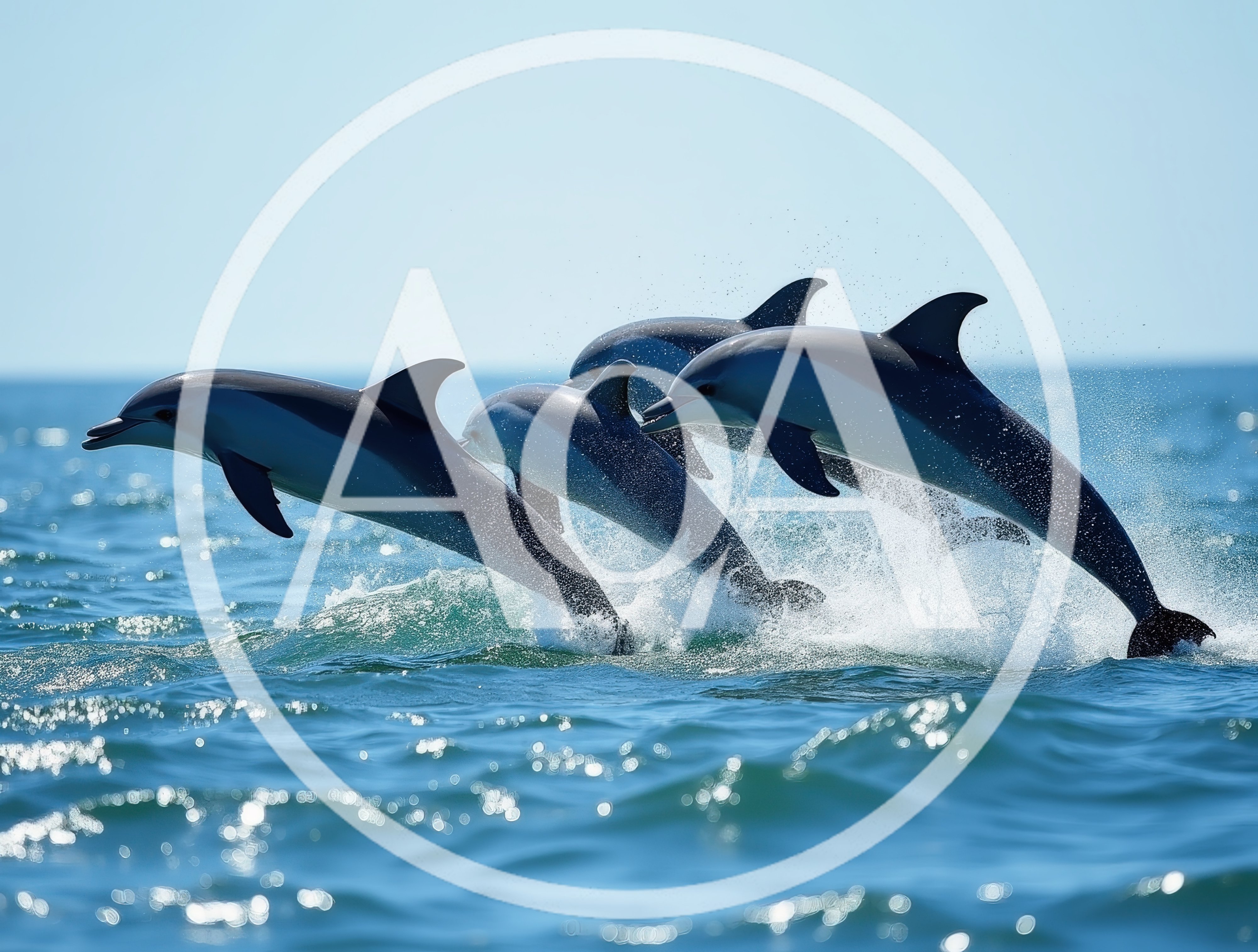 Group of Dolphins Leaping Together in the Ocean