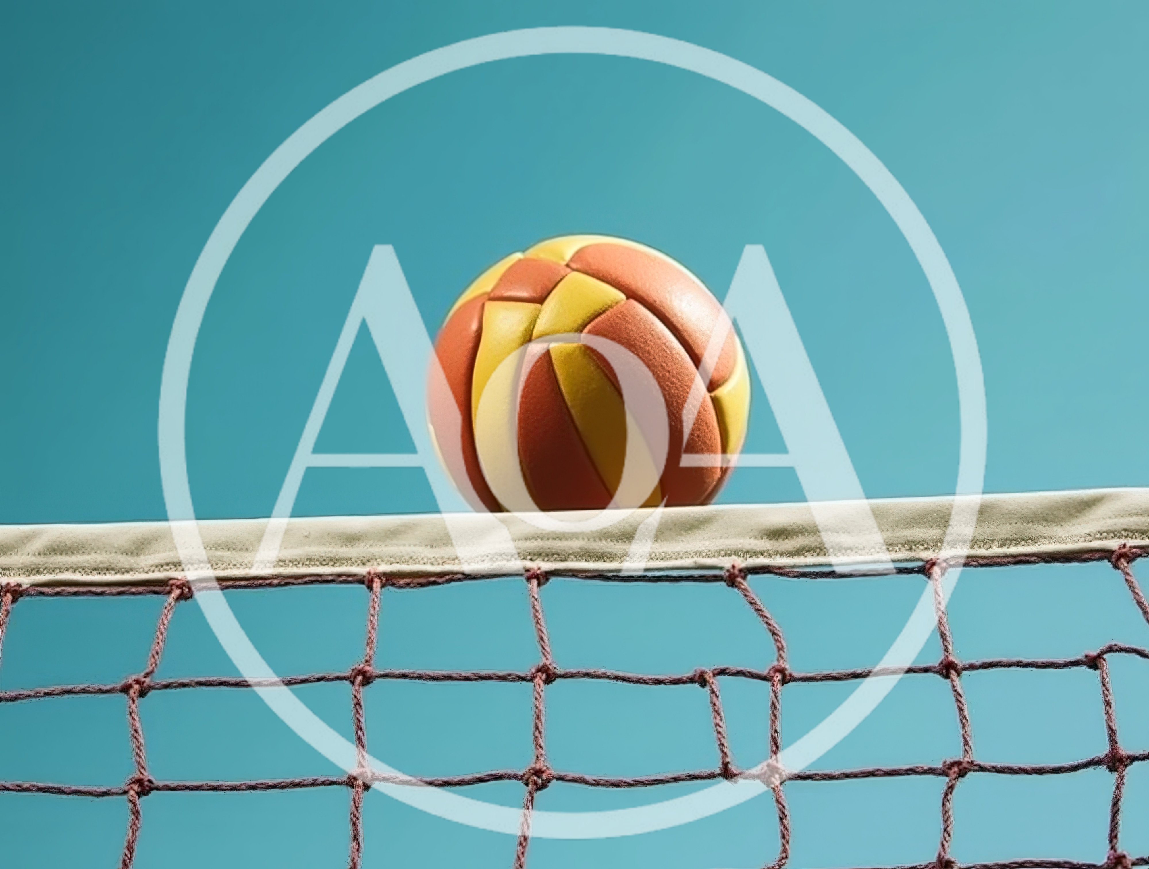 Volleyball Resting On Top Of A Net