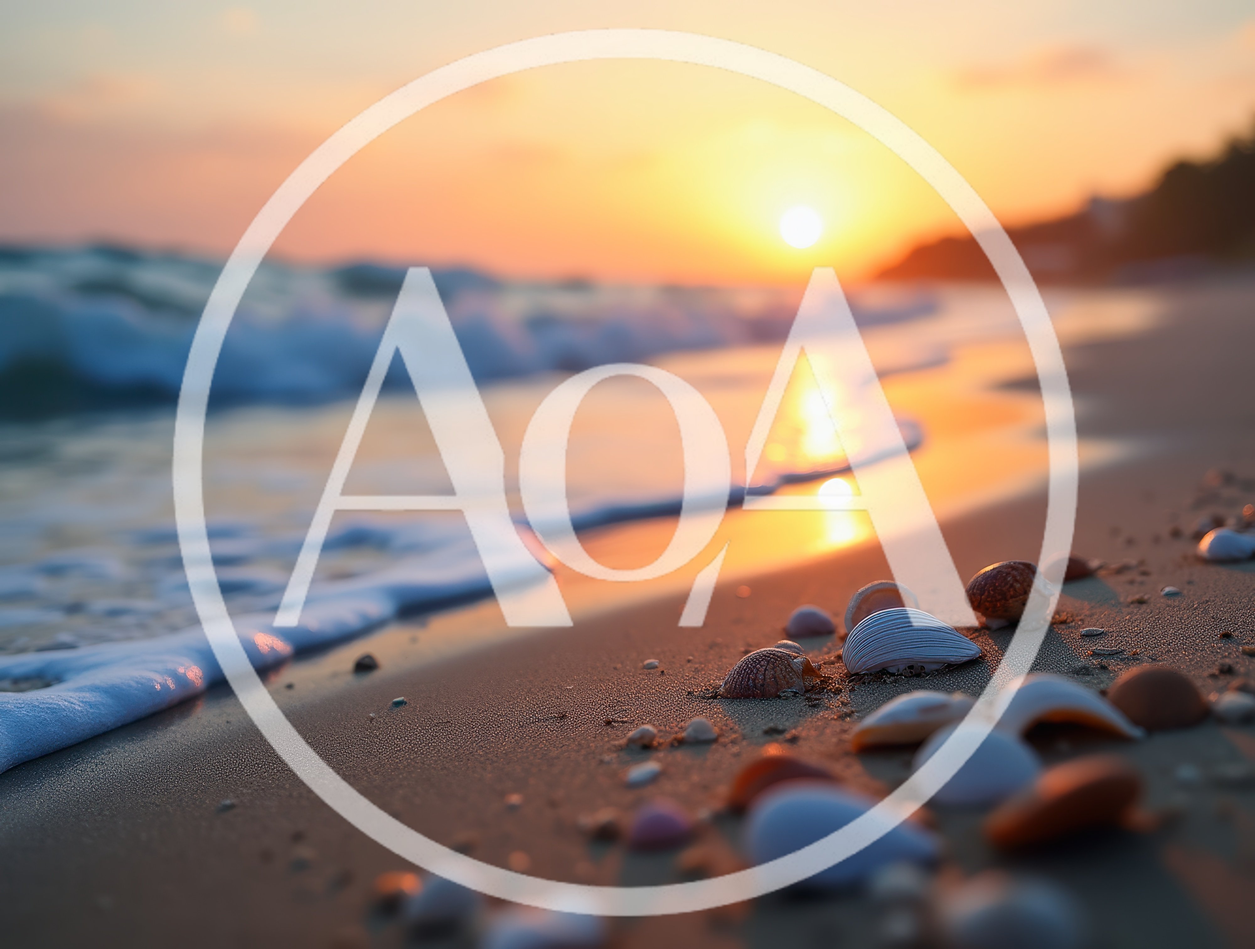 Seashells Scattered on Sandy Beach at Sunset