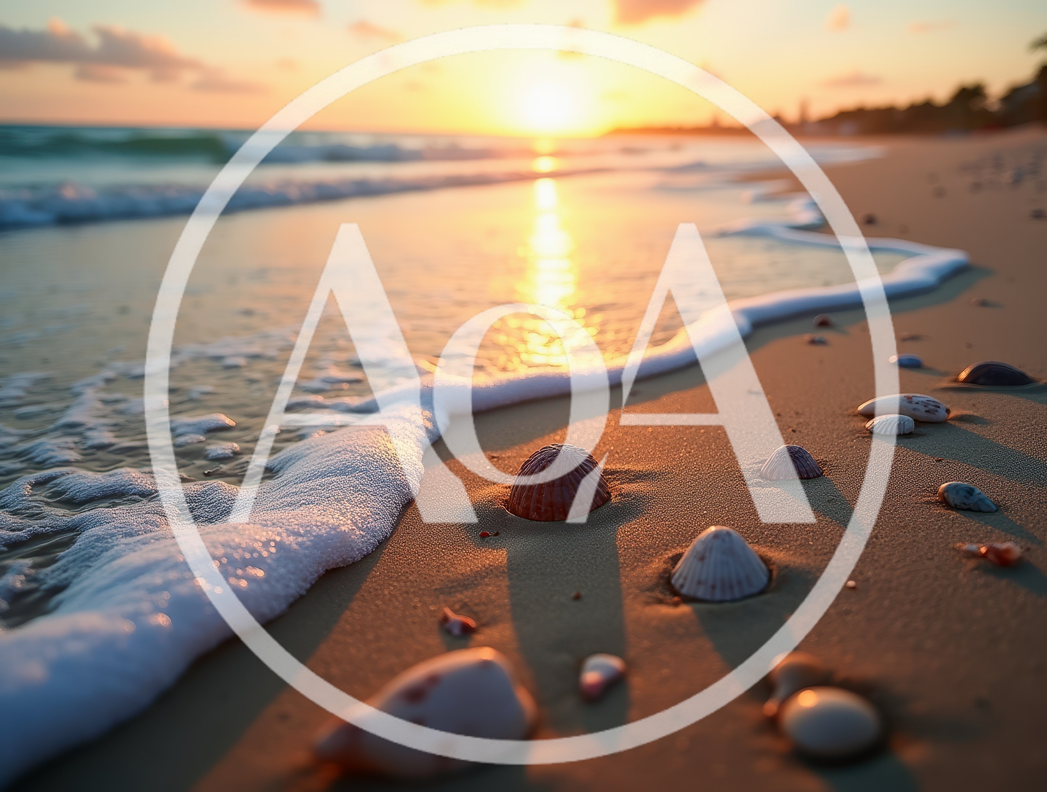 Seashells Scattered On A Sandy Beach At Sunset