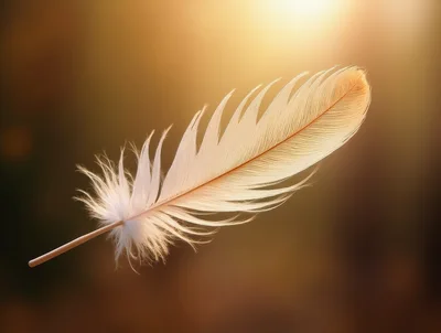 Single White Feather Floating Against Warm Golden Background