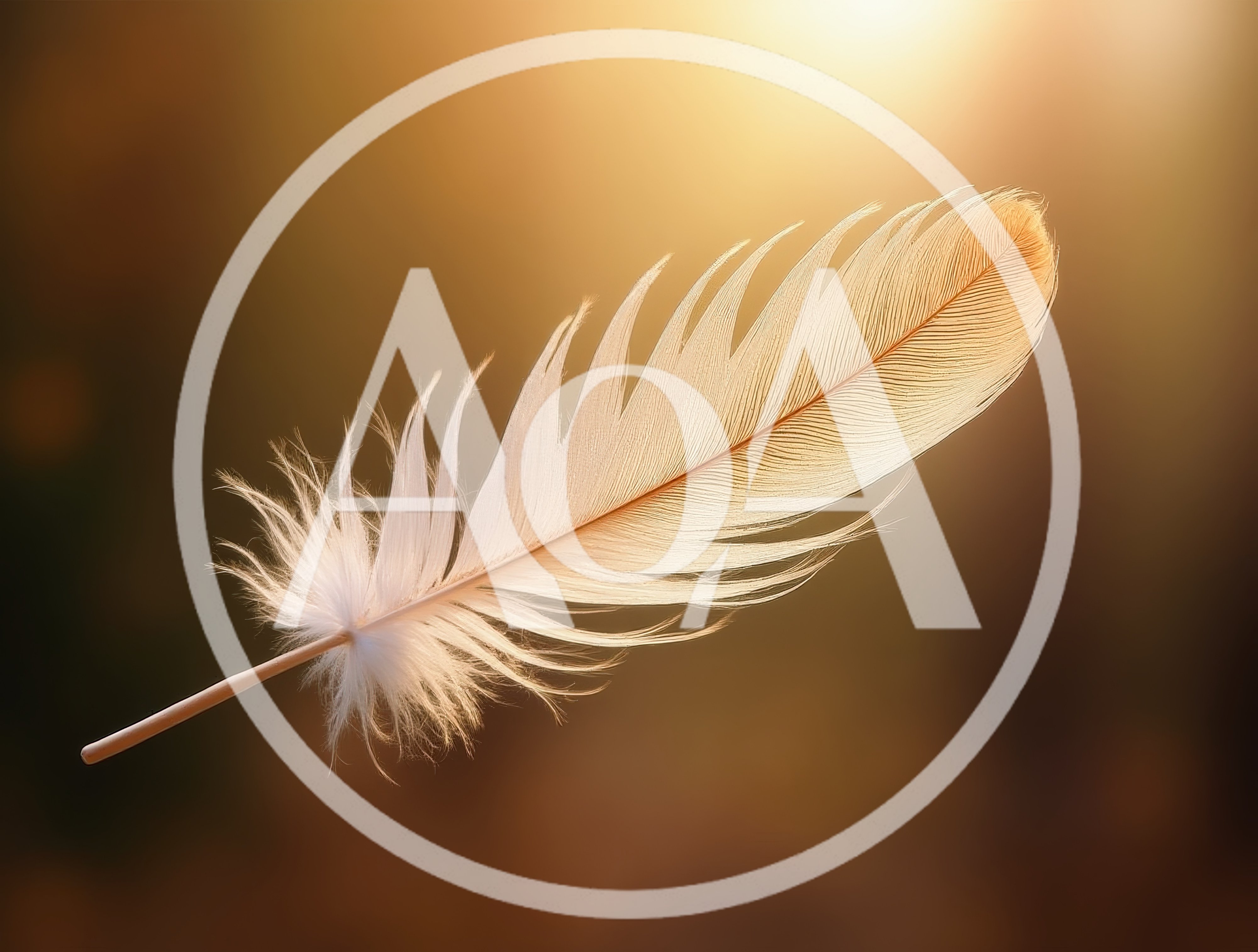 Single White Feather Floating Against Warm Golden Background