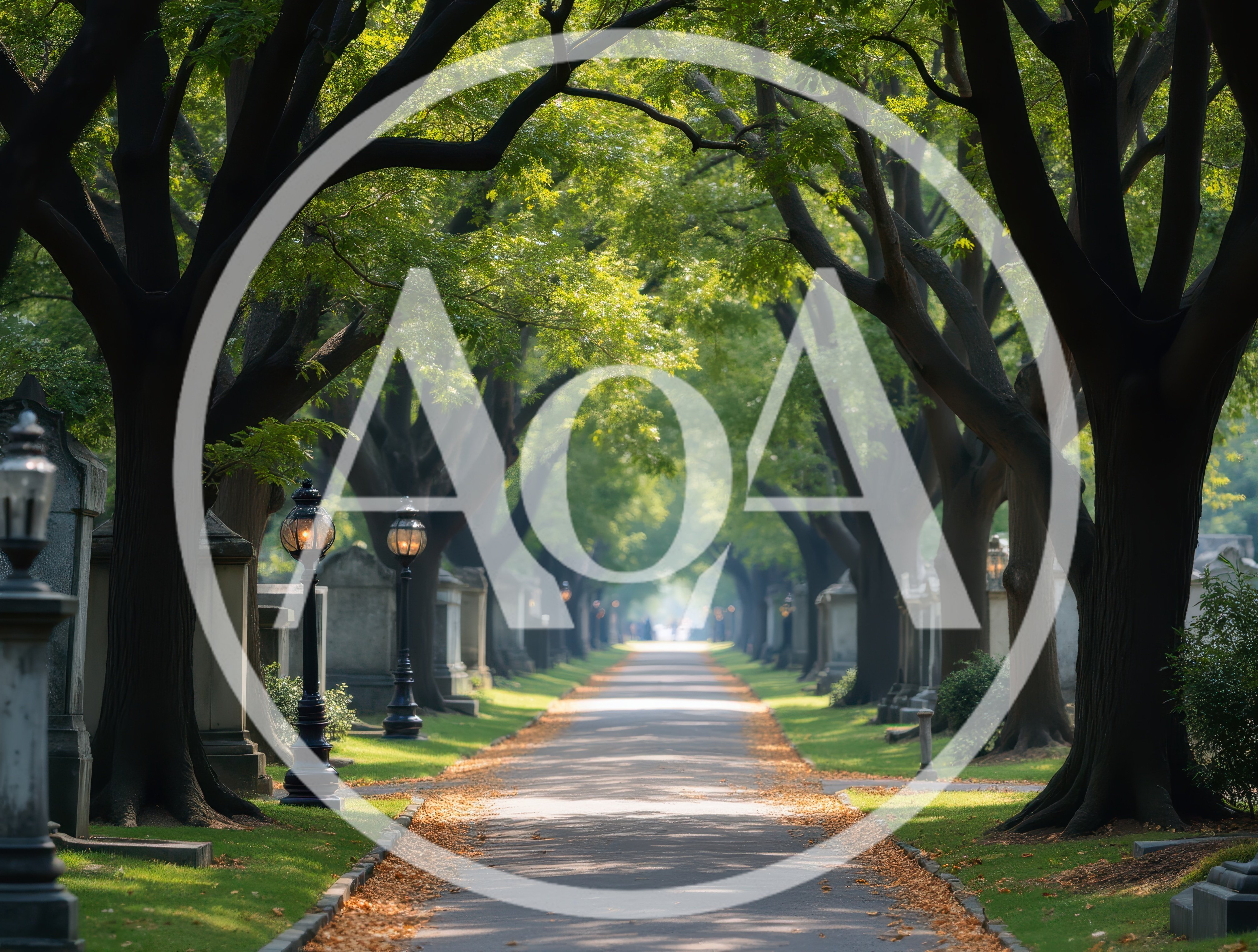 Tree Lined Path Through A Historic Cemetery