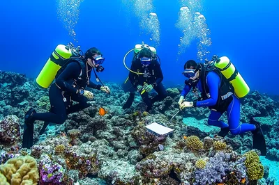 Scuba Divers Conducting Marine Research on Coral Reef