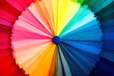 Circular Color Swatch Fan Display