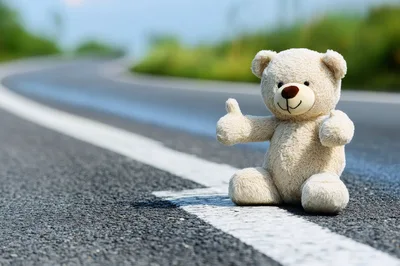 Teddy Bear Hitchhiking on an Empty Country Road