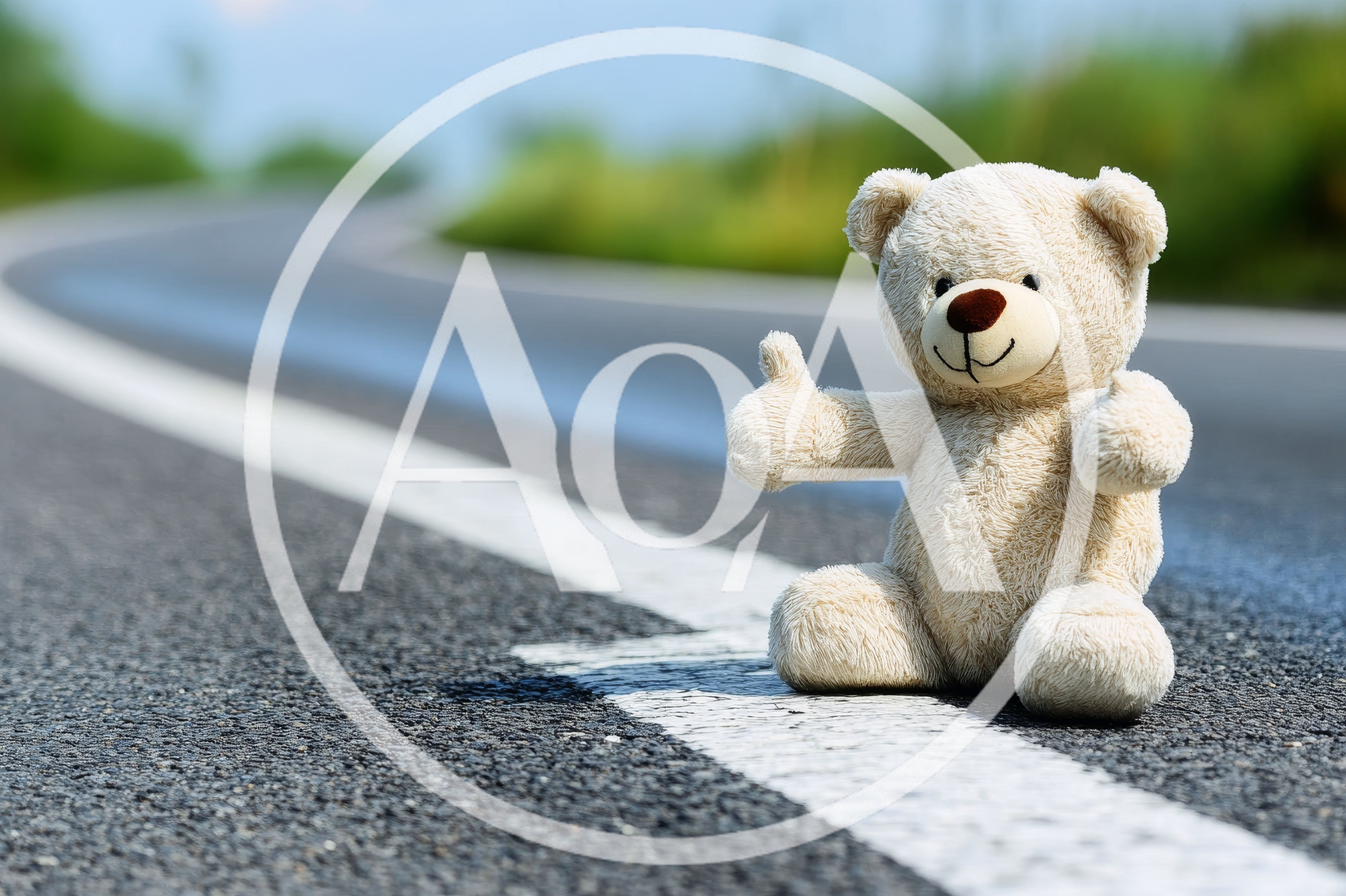 Teddy Bear Hitchhiking on an Empty Country Road