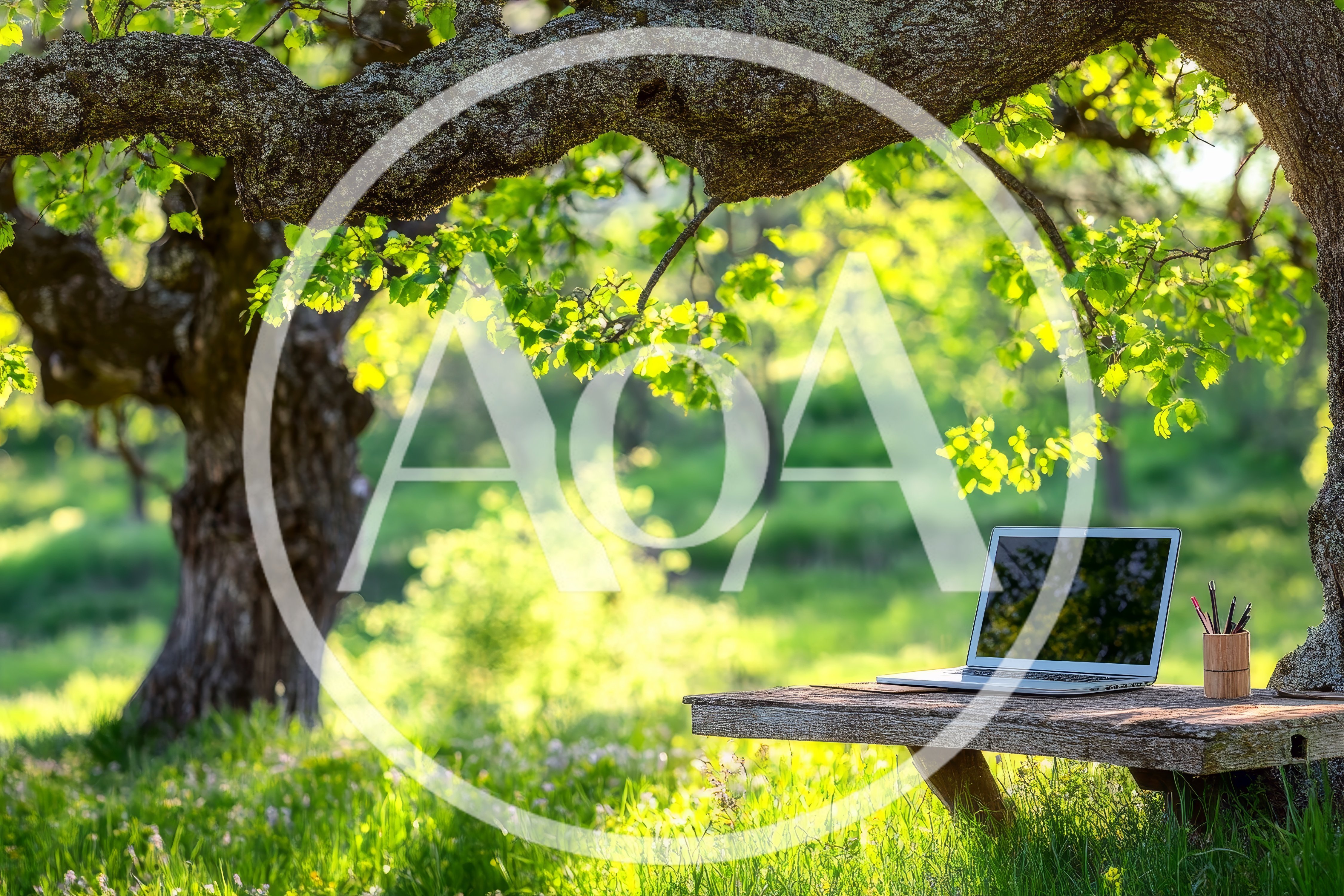 Laptop Computer On A Wooden Bench In A Sunny Forest