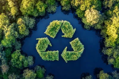 Recycle Symbol Floating In A Forest Lake