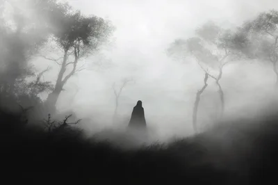 Mysterious Cloaked Figure Standing In A Foggy Forest