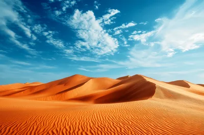 Vast Orange Sand Dunes Under A Bright Blue Sky