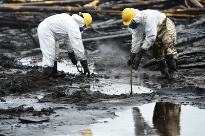 Environmental Cleanup Workers Inspecting Oil Spill Site