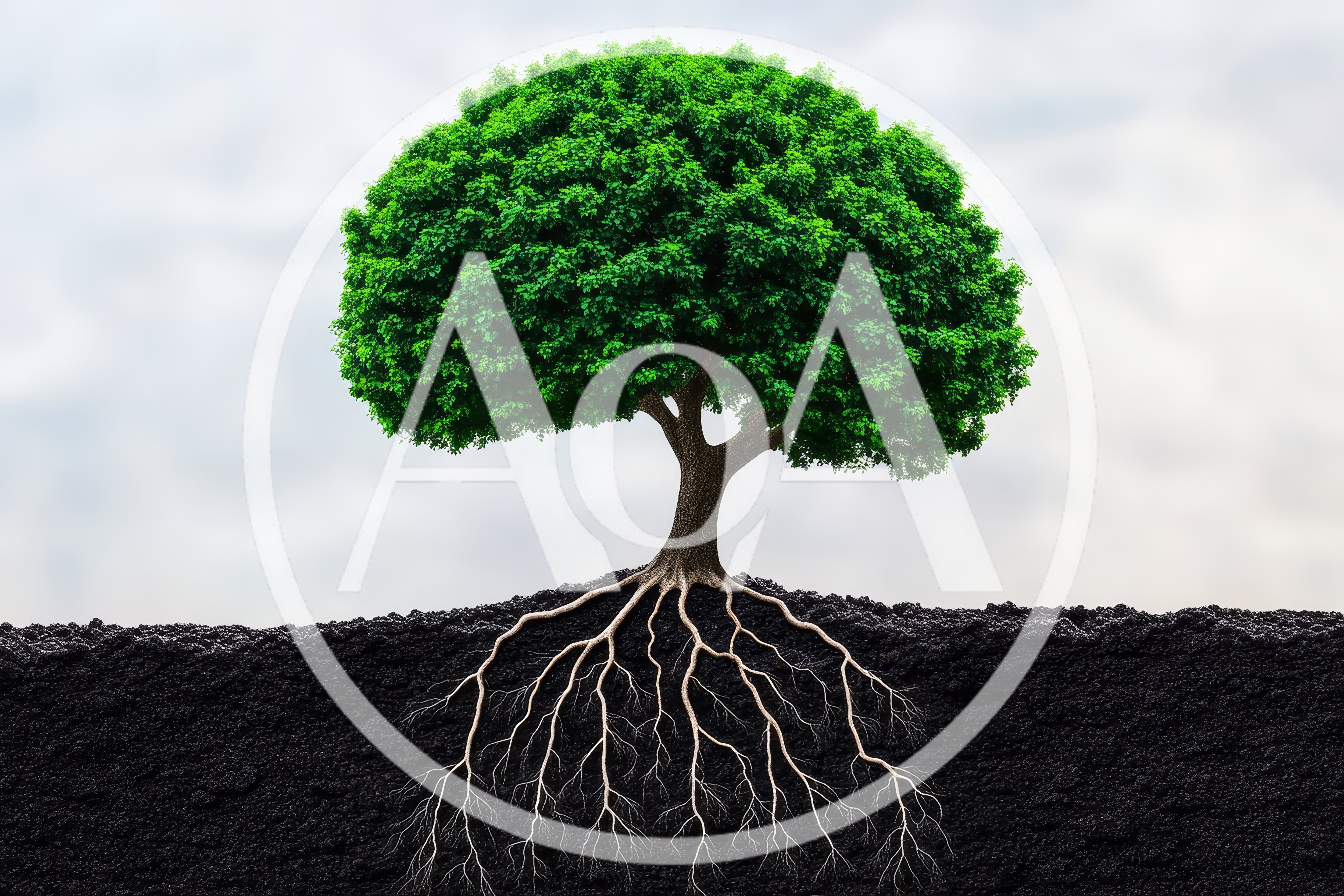 Lush Green Tree With Visible Root System Underground