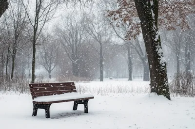 Empty Wooden Bench In A Snowy Winter Park