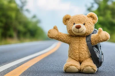 Teddy Bear Hitchhiking With Backpack On Country Road