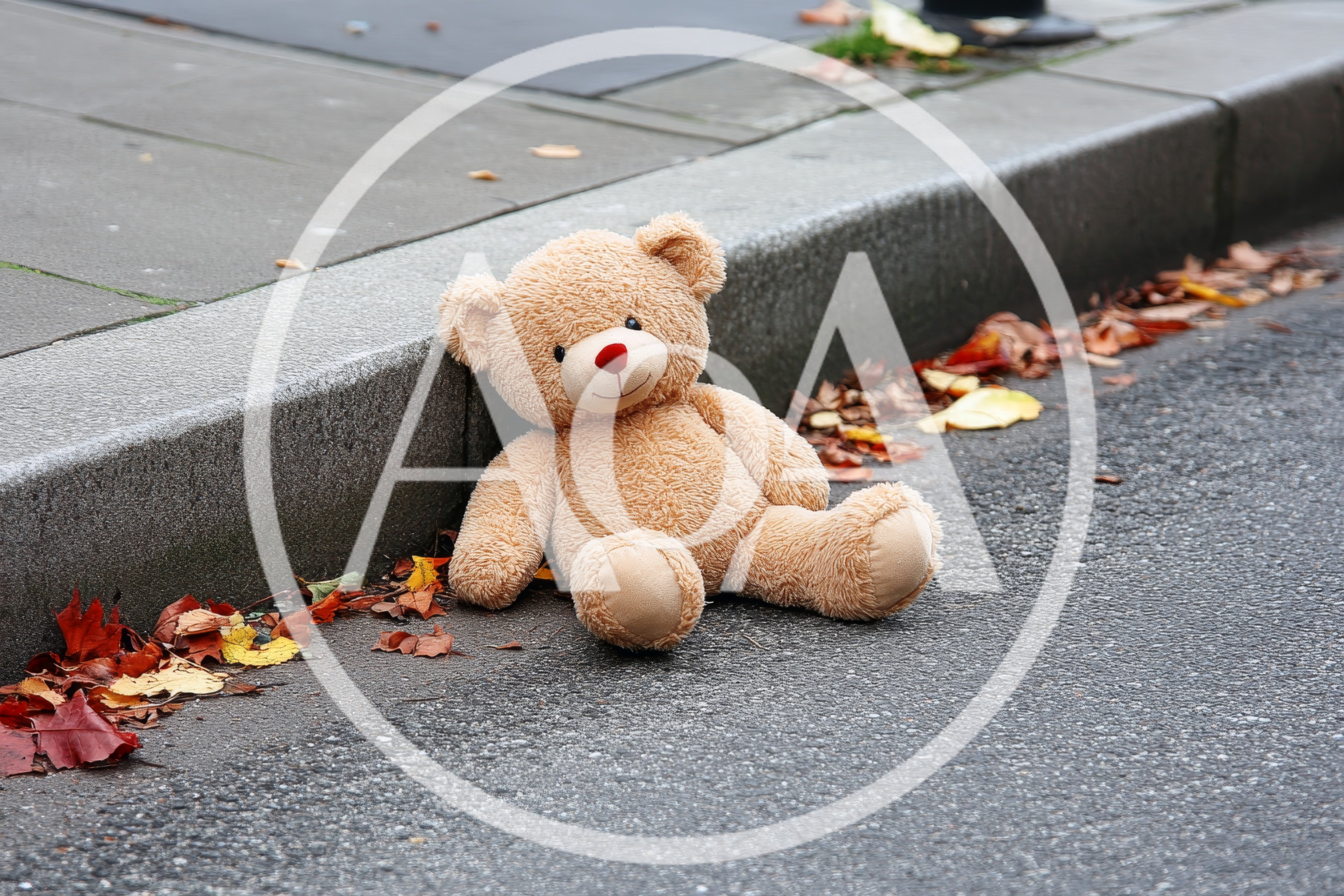 Lost Teddy Bear Sitting On Asphalt Curb