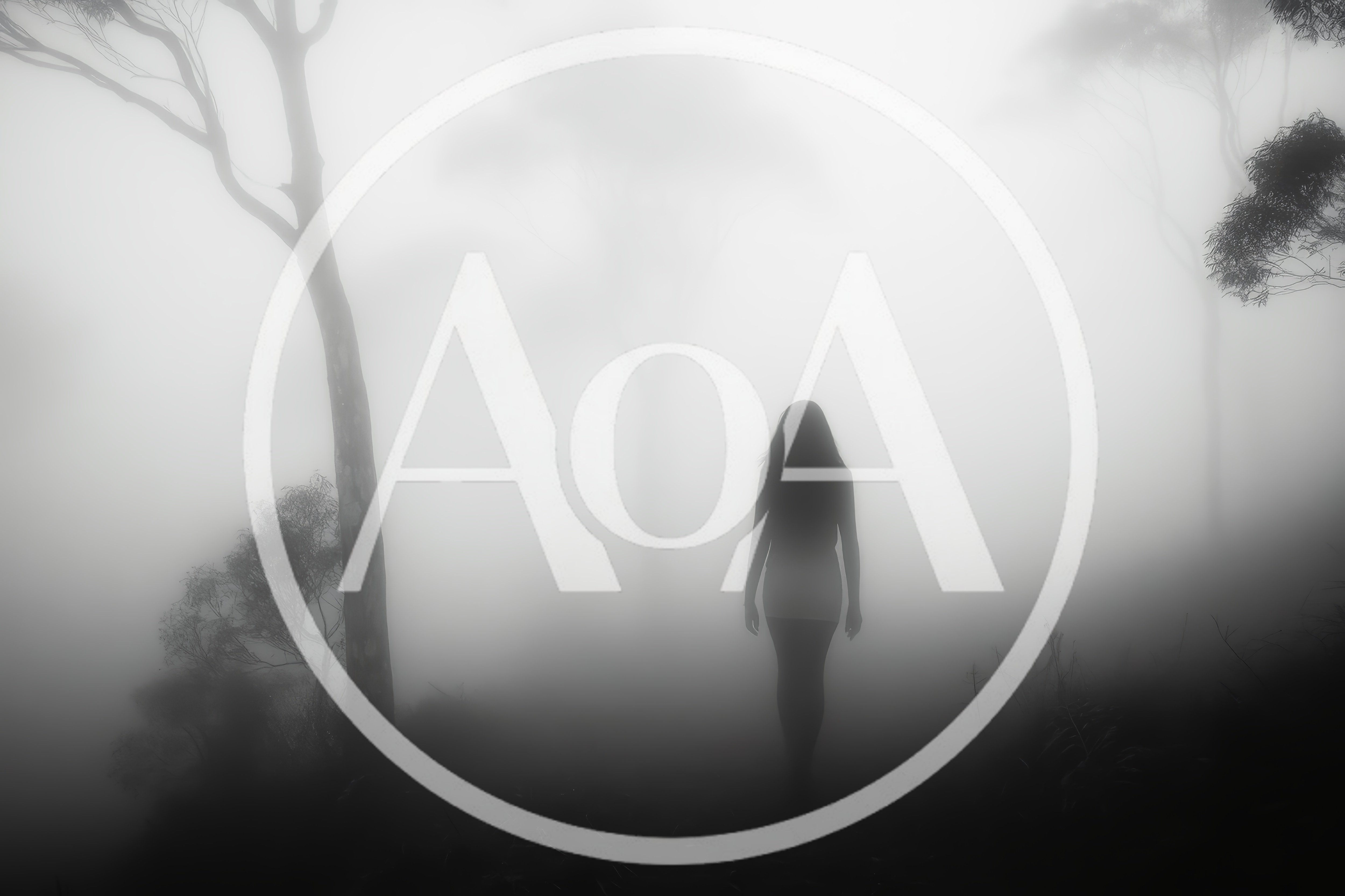 Silhouette Of A Woman Walking Through Dense Fog