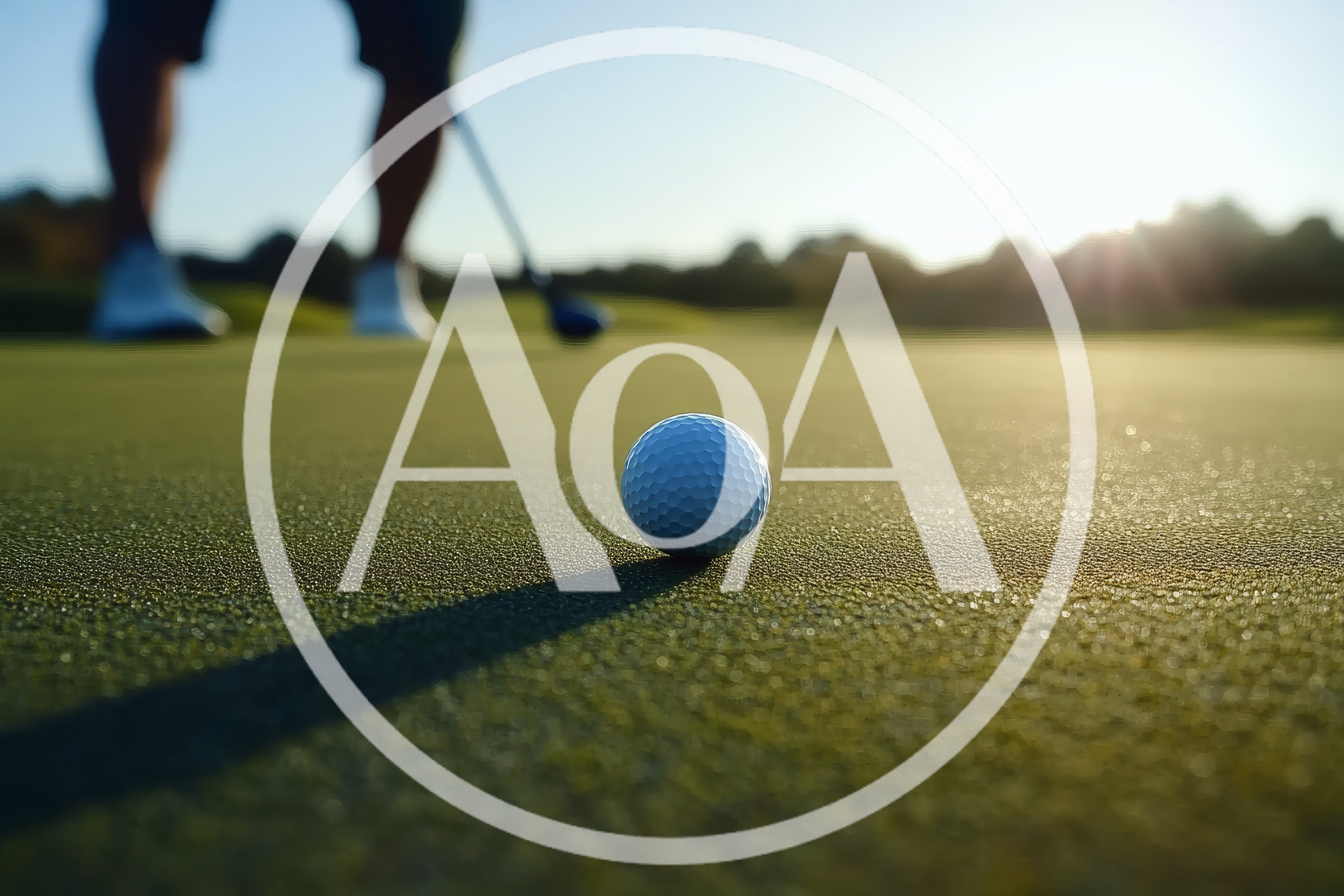 Golf Ball Resting On A Putting Green