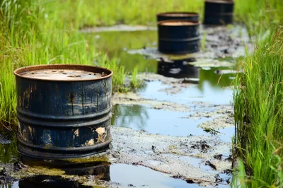 Discarded Industrial Oil Barrels Polluting A Wetland Marsh
