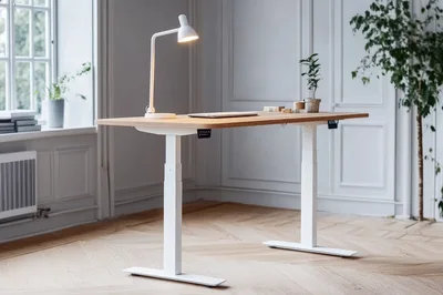 Modern Adjustable Standing Desk in Bright Minimalist Office