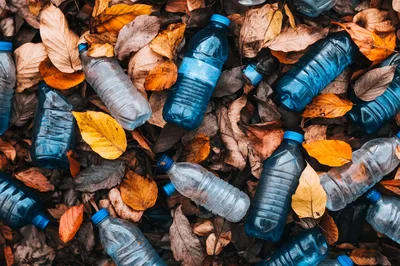Plastic Water Bottles Scattered Among Fallen Autumn Leaves