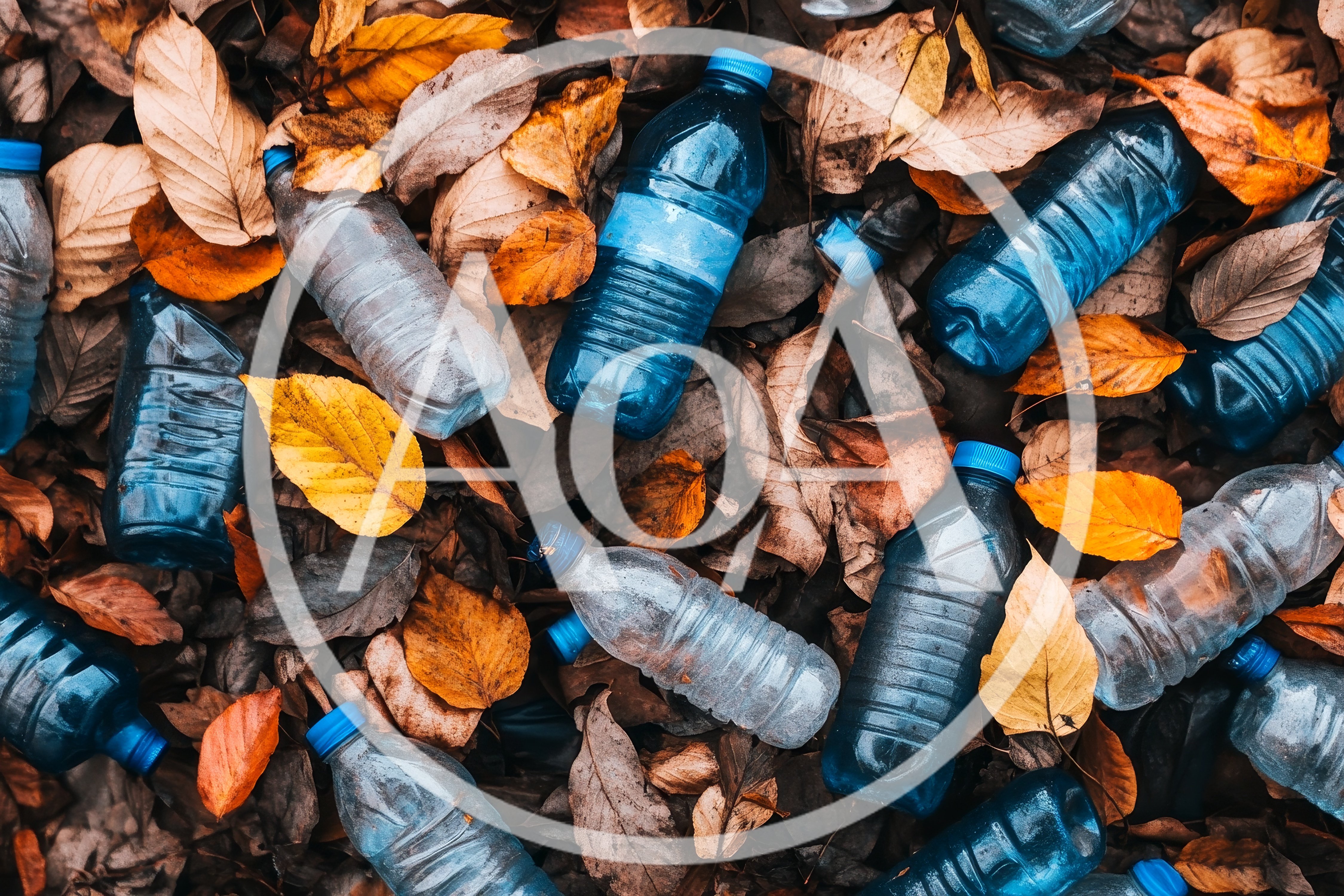 Plastic Water Bottles Scattered Among Fallen Autumn Leaves