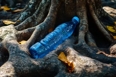 Plastic Water Bottle Discarded Among Tree Roots