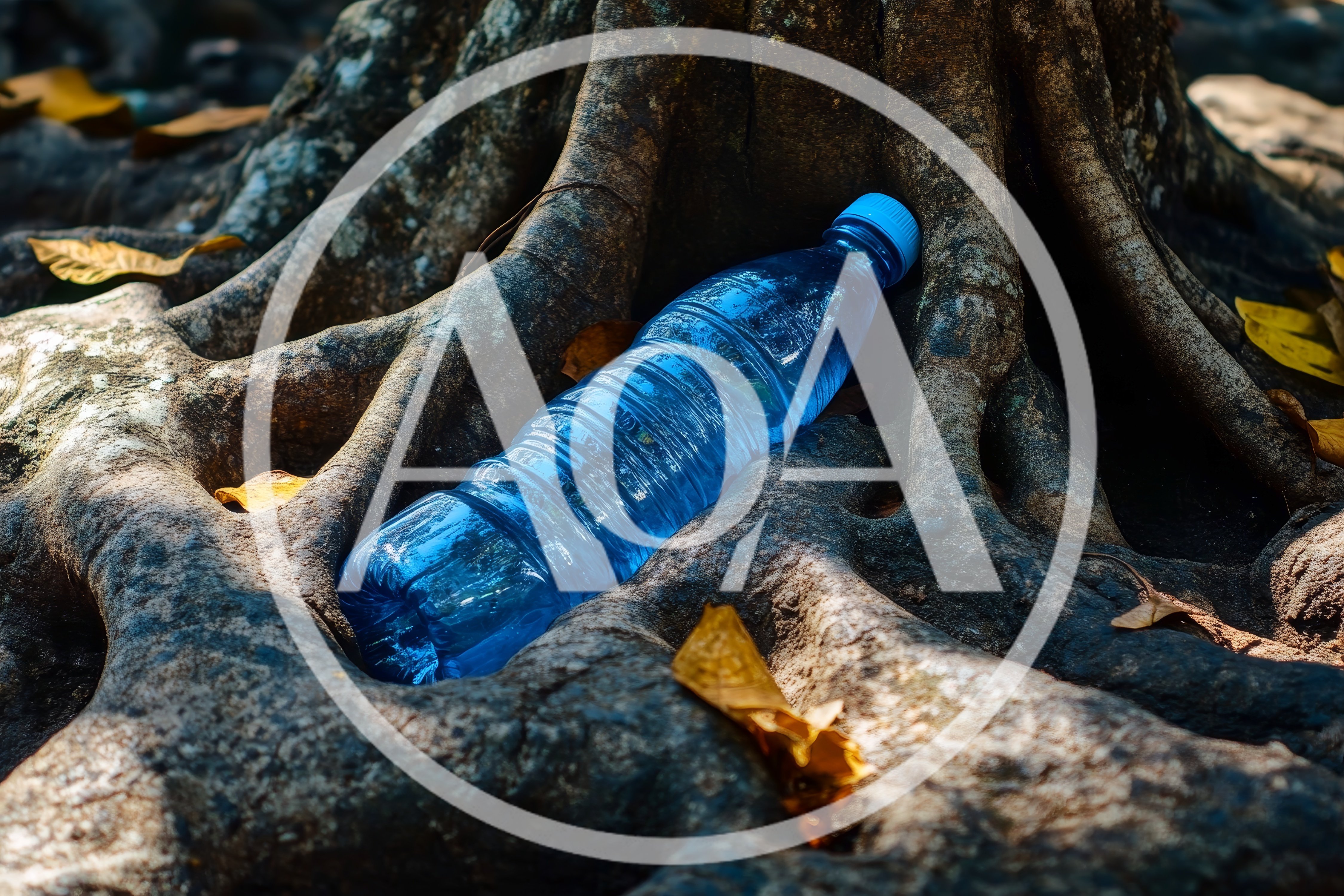 Plastic Water Bottle Discarded Among Tree Roots