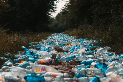 Plastic Bottles Littering A Forest Path