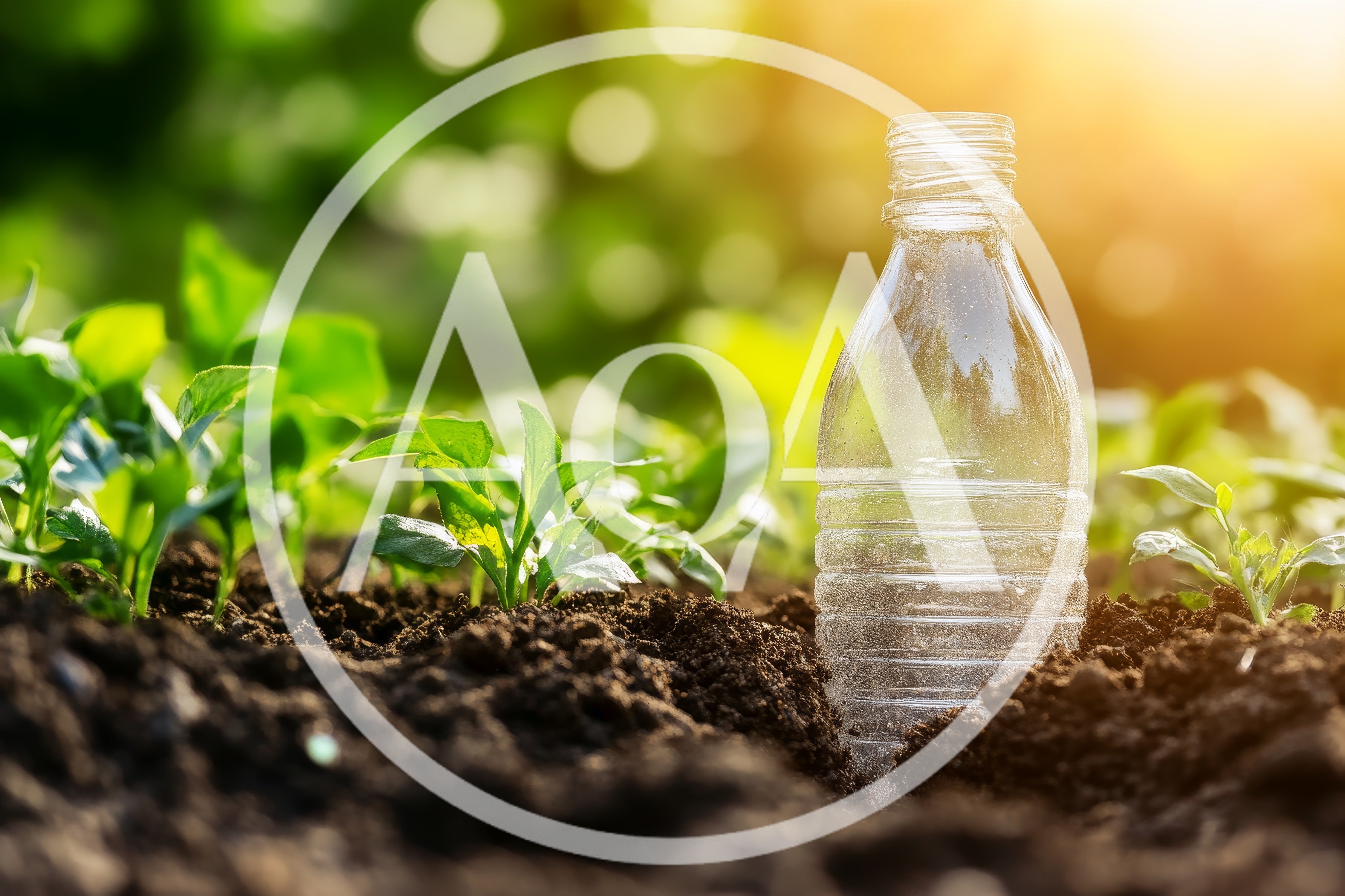Plastic Bottle Buried In Soil With Young Seedlings