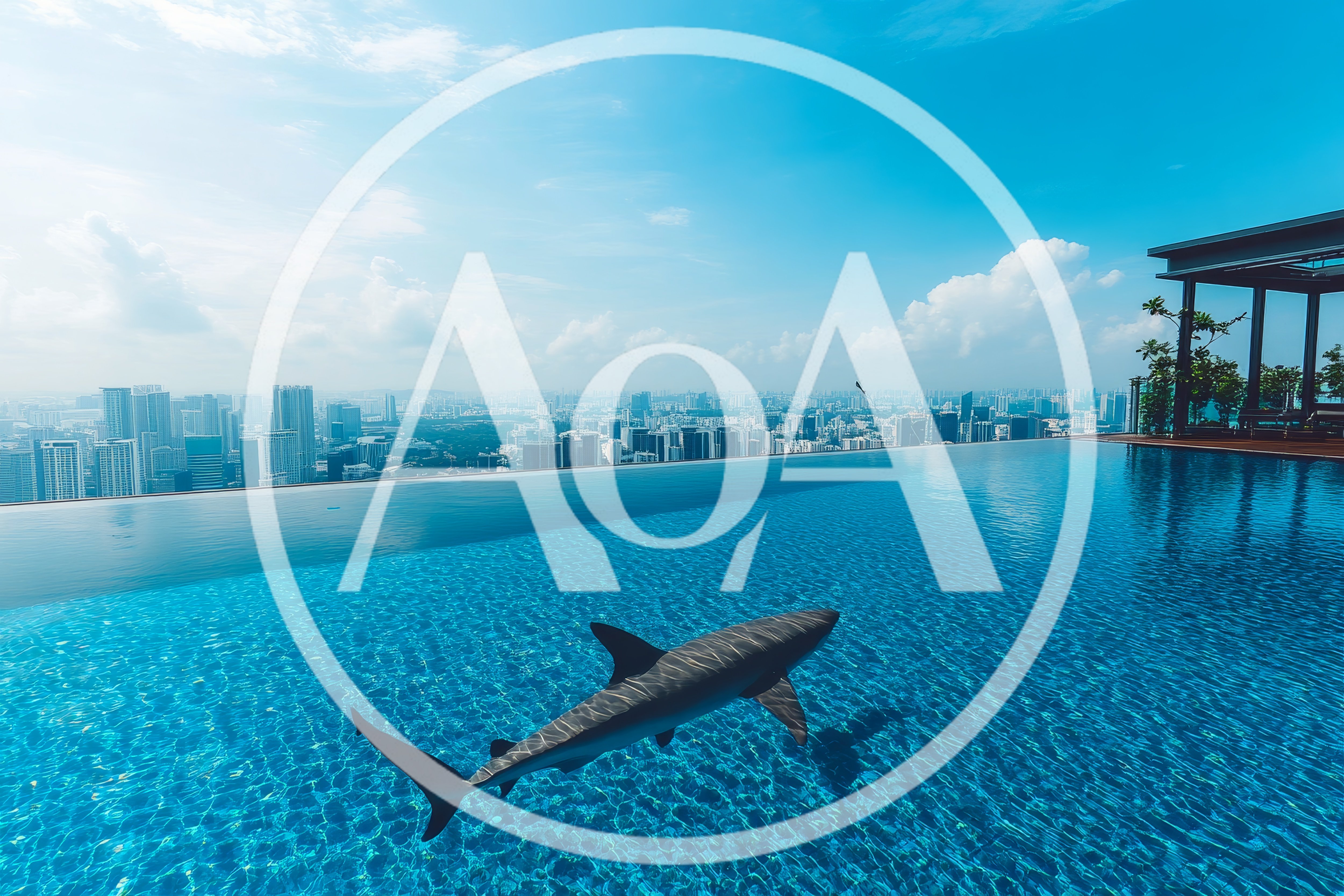 Great White Shark Swimming In Rooftop Infinity Pool
