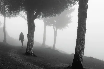 Woman Walking Alone Through A Misty Forest Path