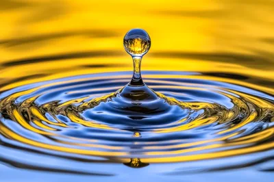 Macro Water Drop Impact Creating Concentric Ripples