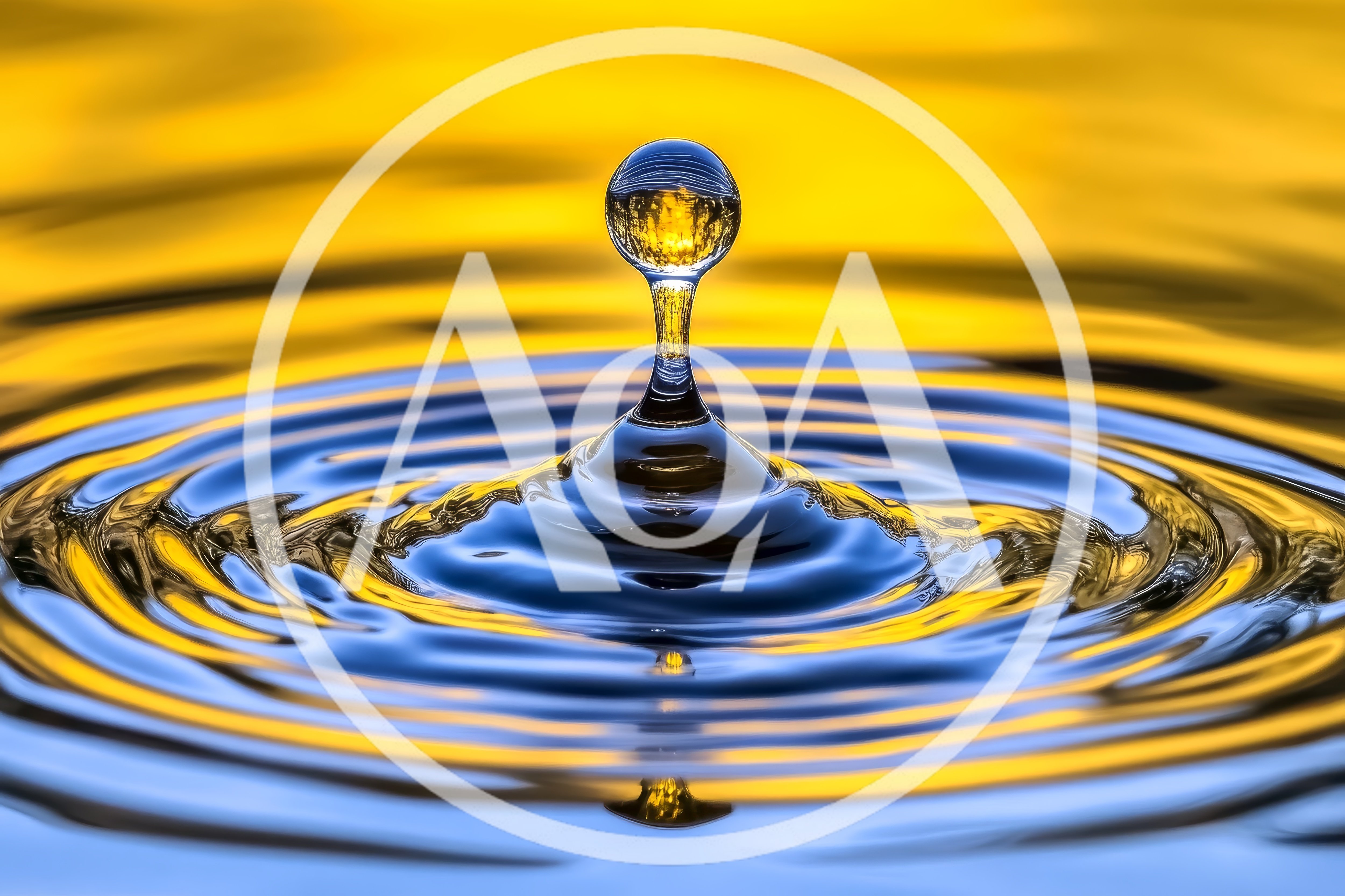 Macro Water Drop Impact Creating Concentric Ripples
