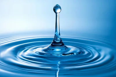 Single Water Drop Impact Creating Concentric Ripples