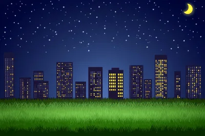 Night City Skyline View From Grassy Field