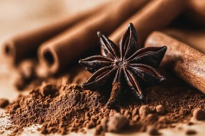 Star Anise and Cinnamon Sticks on Cocoa Powder