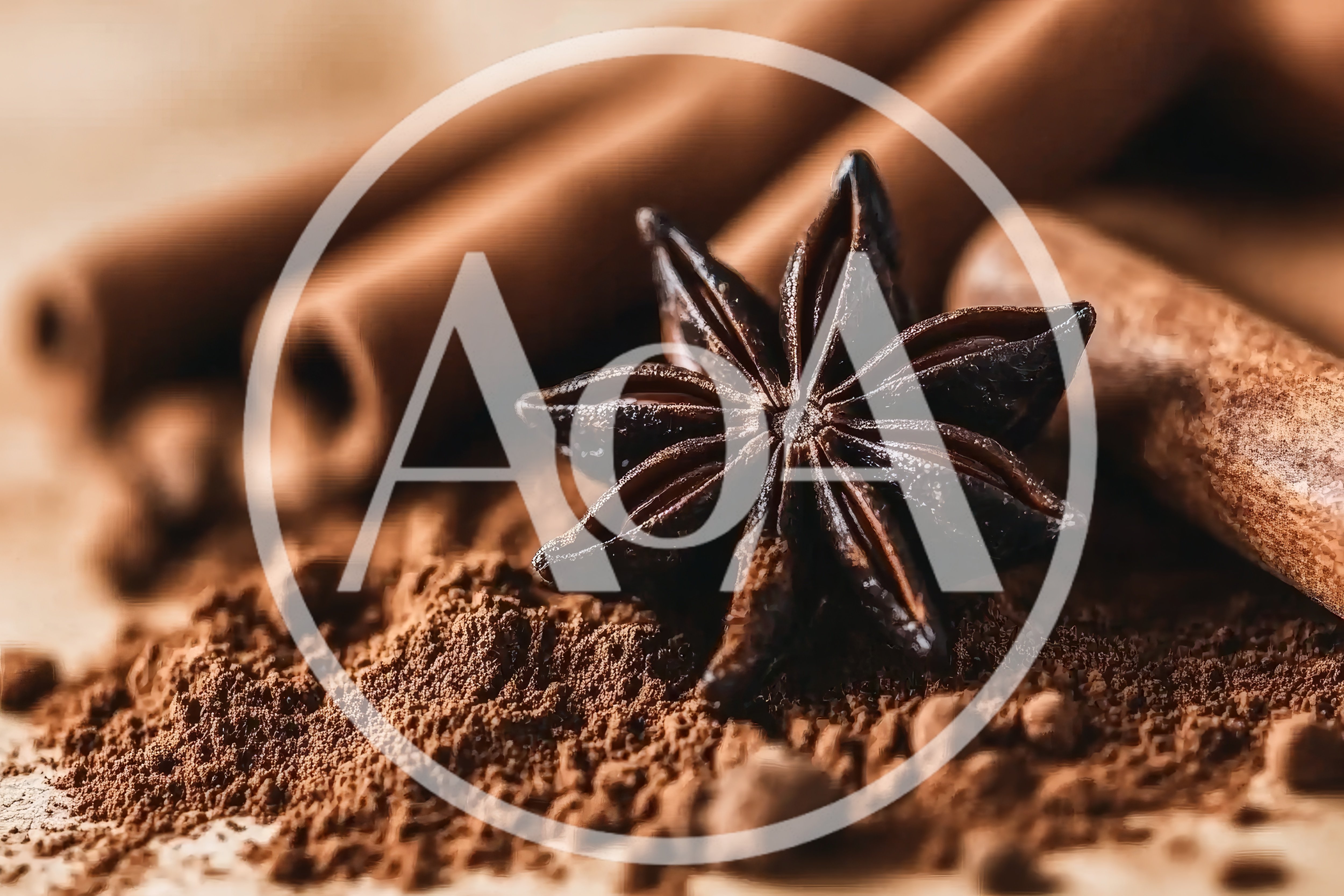 Star Anise and Cinnamon Sticks on Cocoa Powder