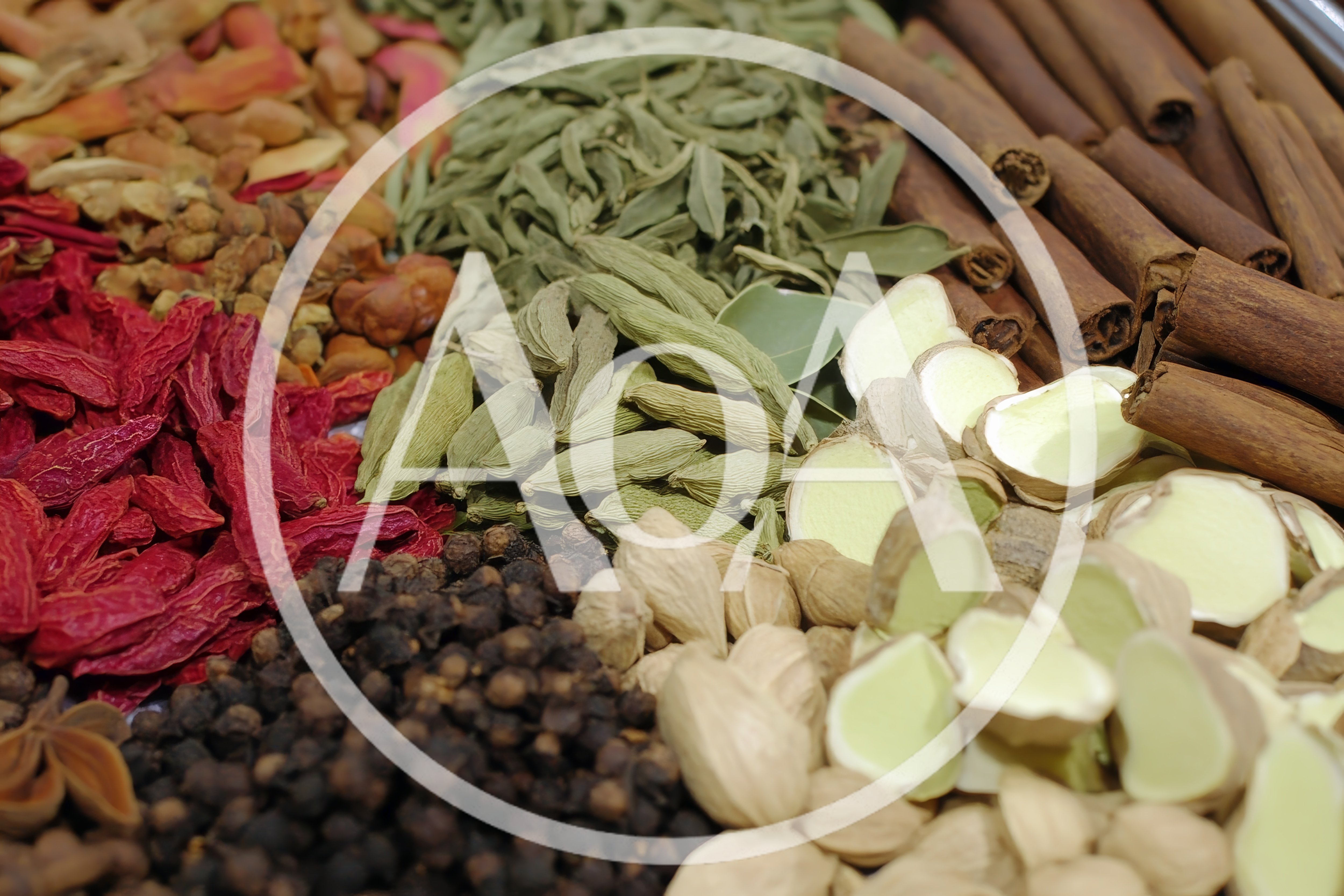 Assorted Dried Spices and Herbs on Display