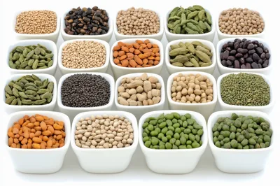 Assorted Dried Legumes and Spices in White Bowls