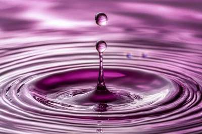 Purple Water Drop Impact Creating Concentric Ripples