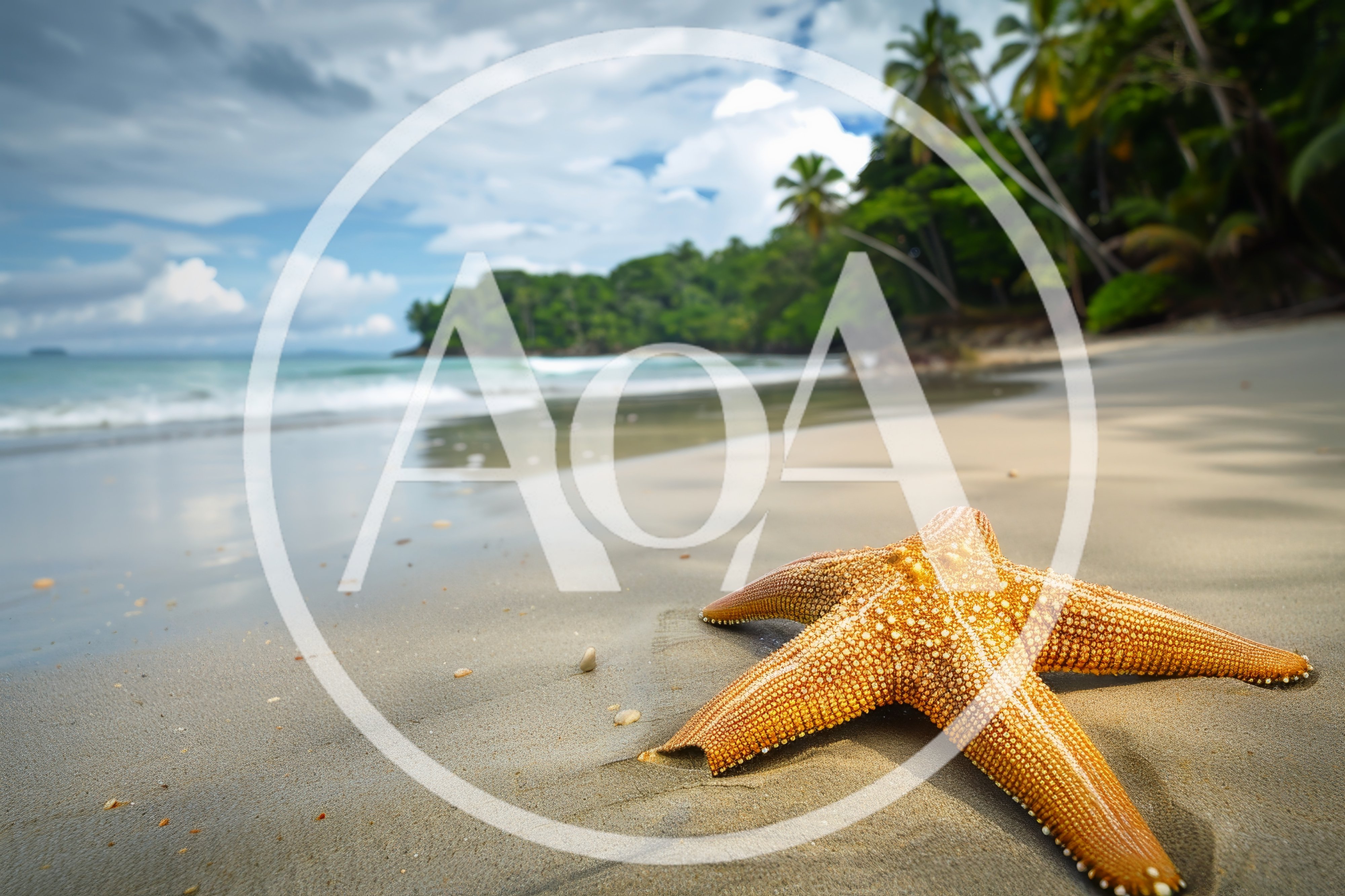 Orange Starfish Resting On A Tropical Sandy Beach
