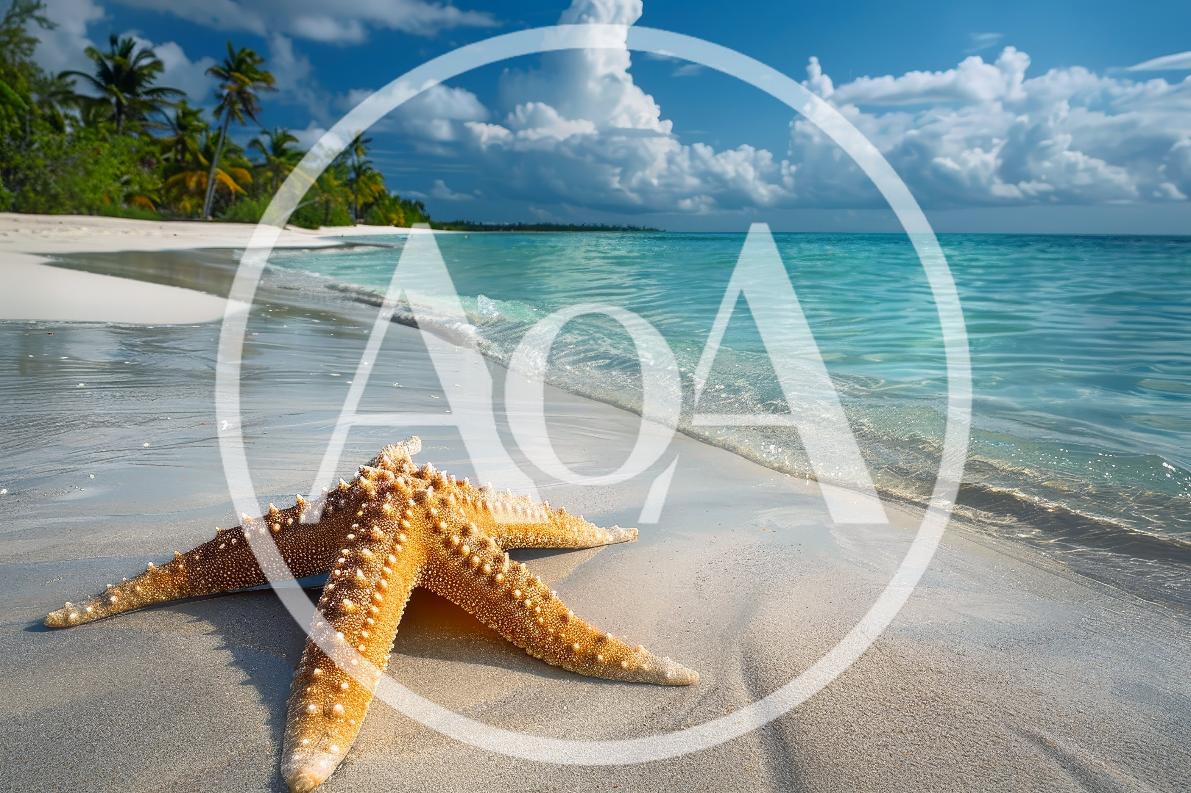 Starfish Resting On A Tropical White Sand Beach