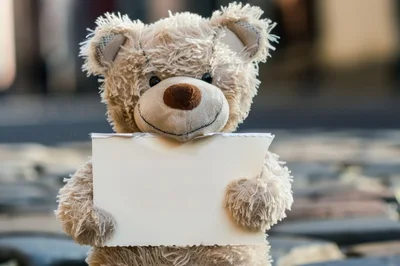 Teddy Bear Holding A Blank White Sign