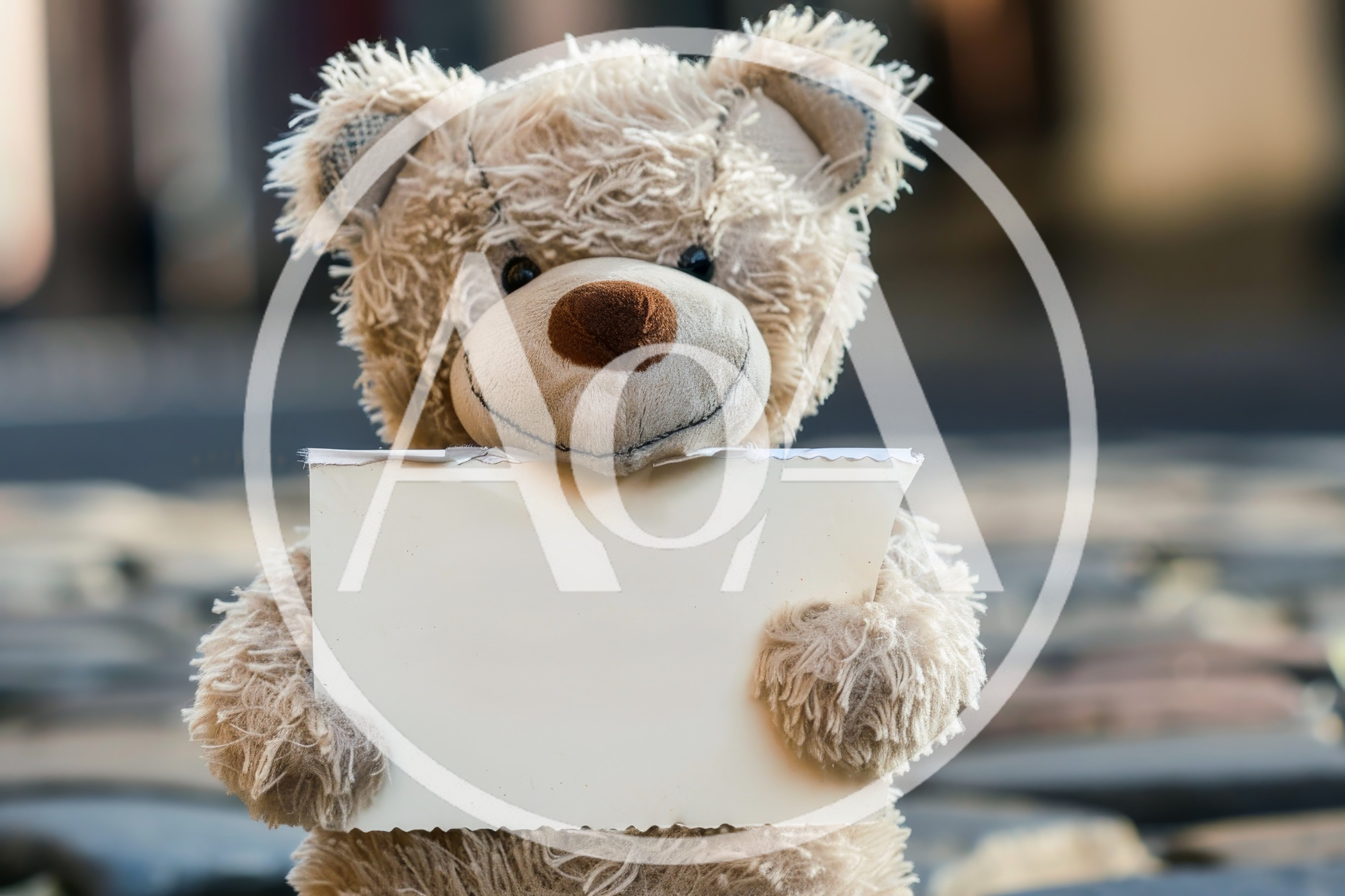 Teddy Bear Holding A Blank White Sign