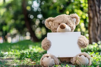Teddy Bear Holding Blank Sign In Park